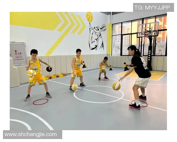 幼儿园四号篮球推荐适合小朋友的最佳选择与购买指南 幼儿园四号篮球推荐适合小朋友的最佳选择与购买指南