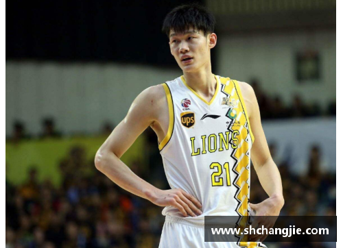 CBA球员技术评析与战术角色分析