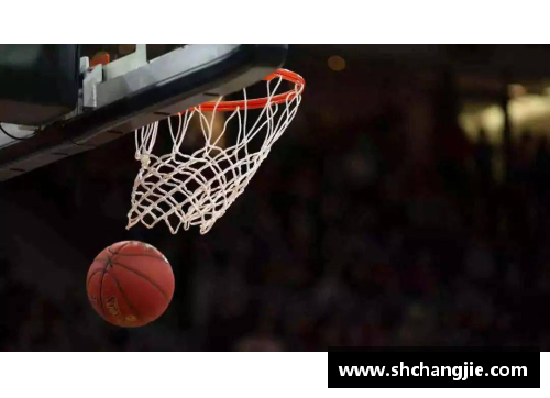 NBA传奇：逝去的篮球英雄们与他们的遗产