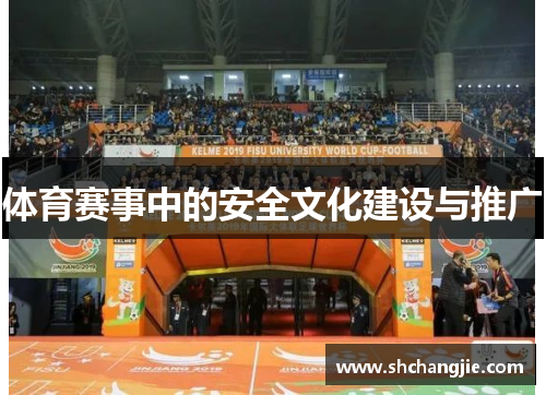 体育赛事中的安全文化建设与推广