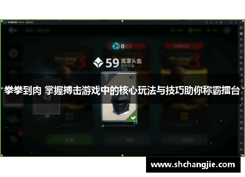 拳拳到肉 掌握搏击游戏中的核心玩法与技巧助你称霸擂台