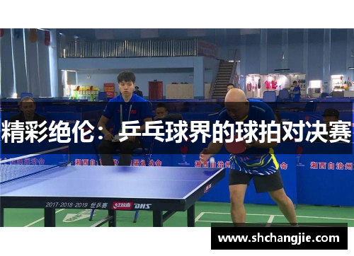 精彩绝伦：乒乓球界的球拍对决赛